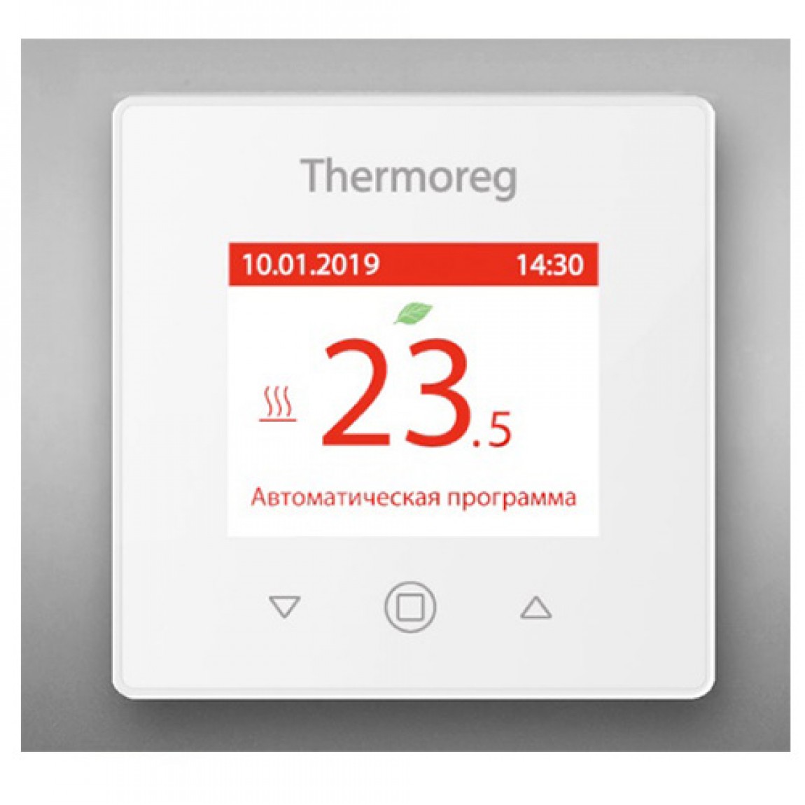 Thermoreg TI-970 Silver Thermoreg TI-970 Silver